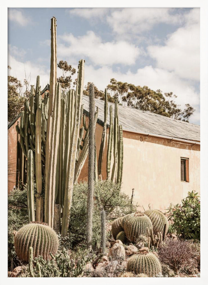 Karoo Garden 02 Poster