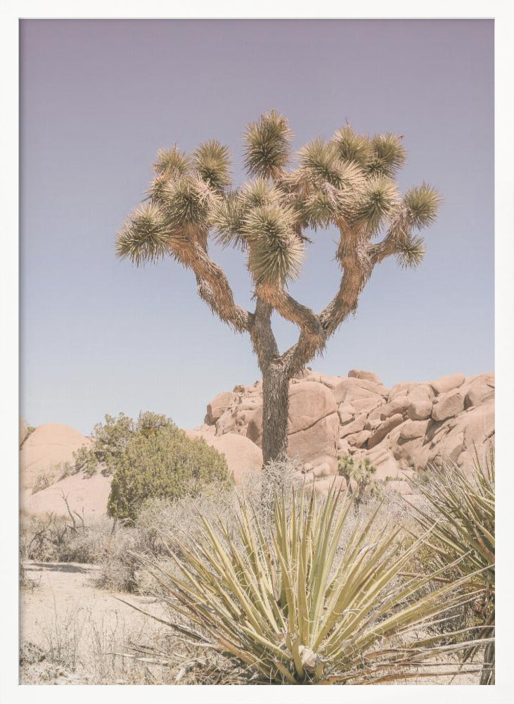 Mojave Desert Poster