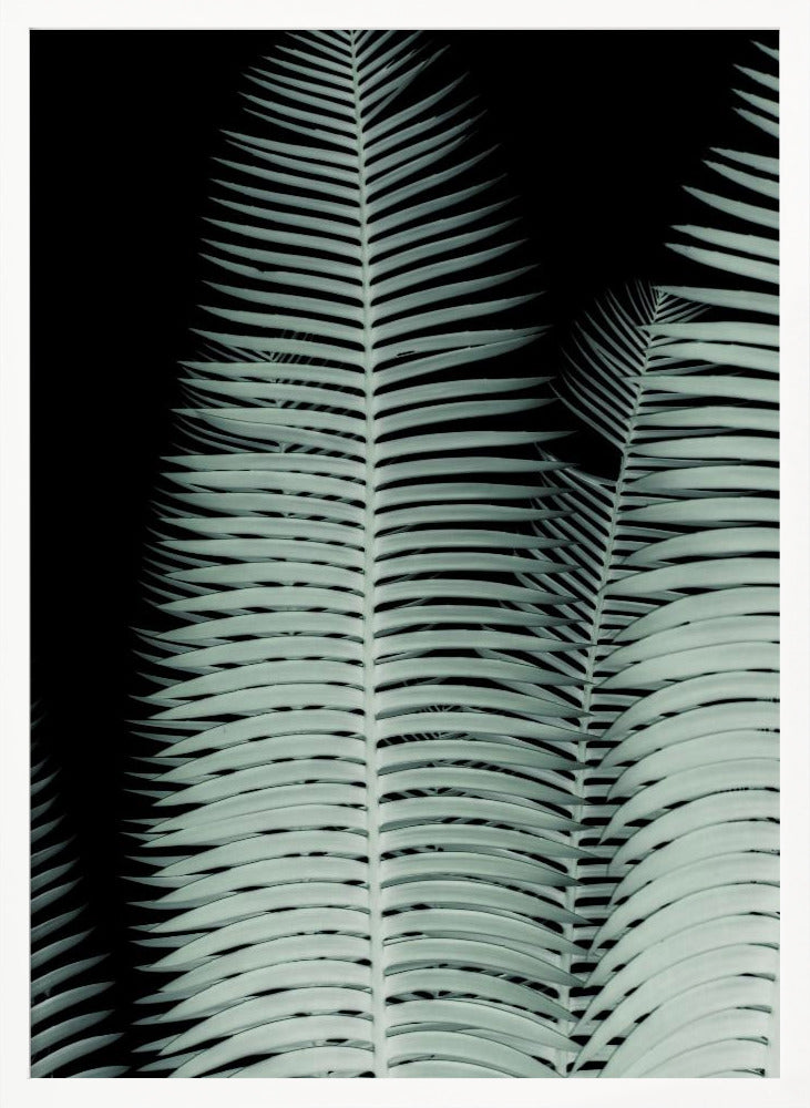 Palm Leaf Poster