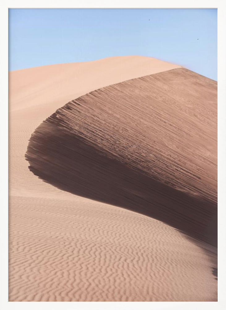 Namib Three Poster