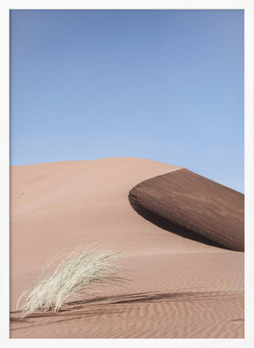 Namib Two Poster