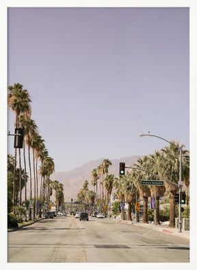 Palm Spring Poster