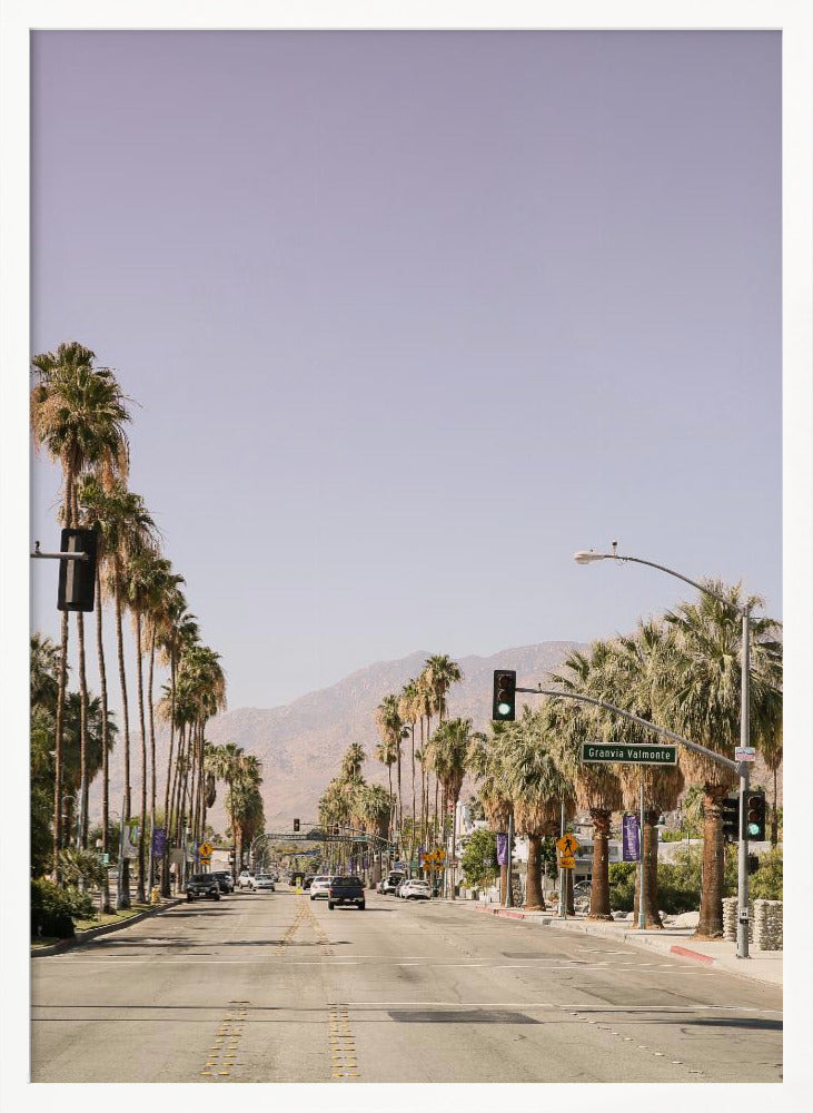 Palm Spring Poster