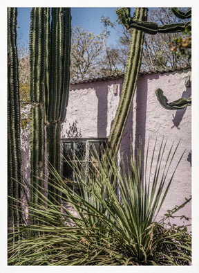 Plants On Pink Poster