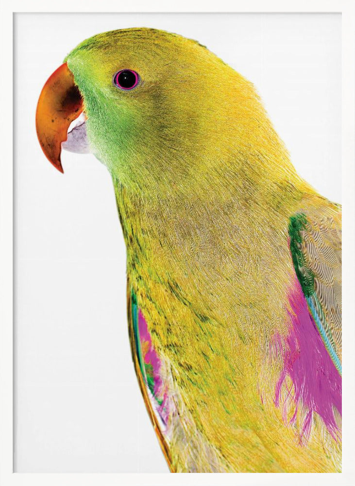 Polly Poster