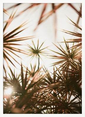 Starlight Palm Tree Poster