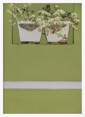 Wall Garden Poster