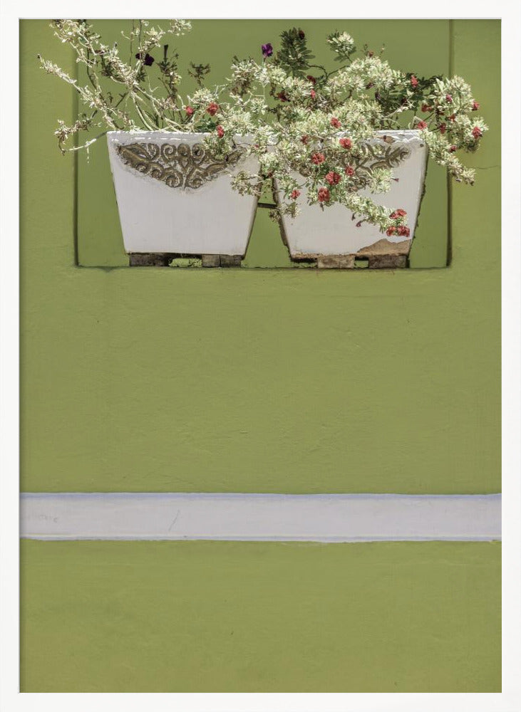 Wall Garden Poster