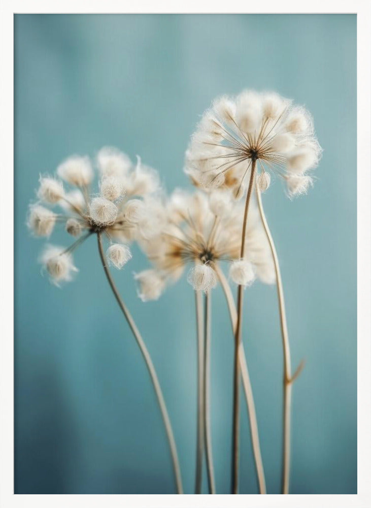 Fluffy Flowers Poster