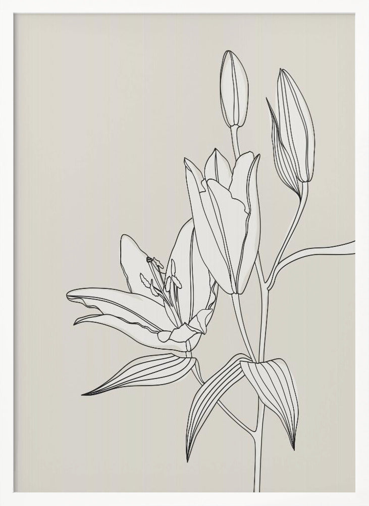 Line art lillies in beige Poster