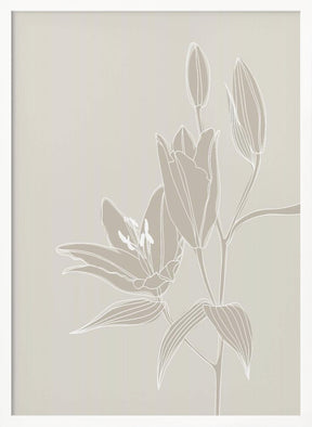 Line art lillies in white Poster