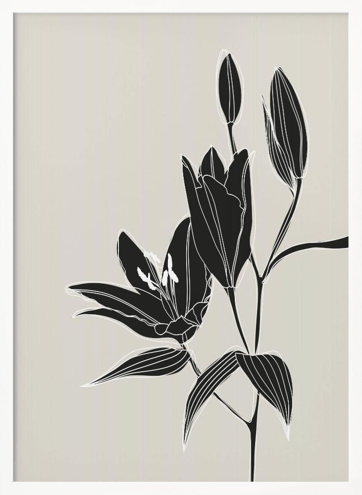 Line art lillies in black Poster