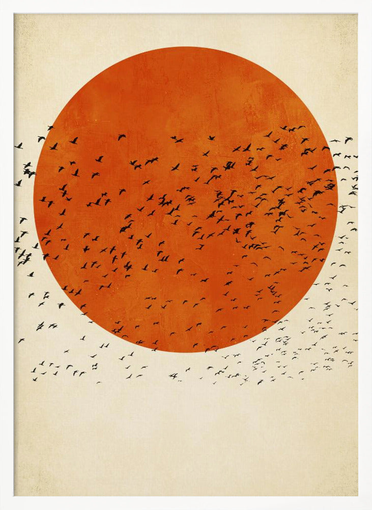 Birds In the Sun Poster