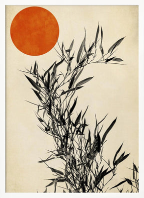 Japanese Birch Poster