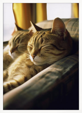 Resting Van Cats Poster