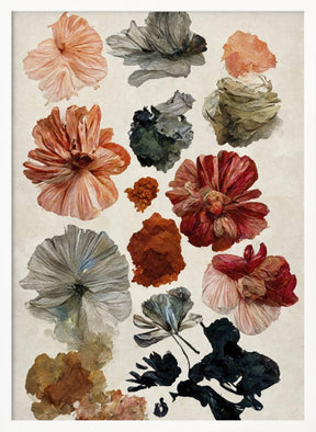 Dry Flower Collection Poster