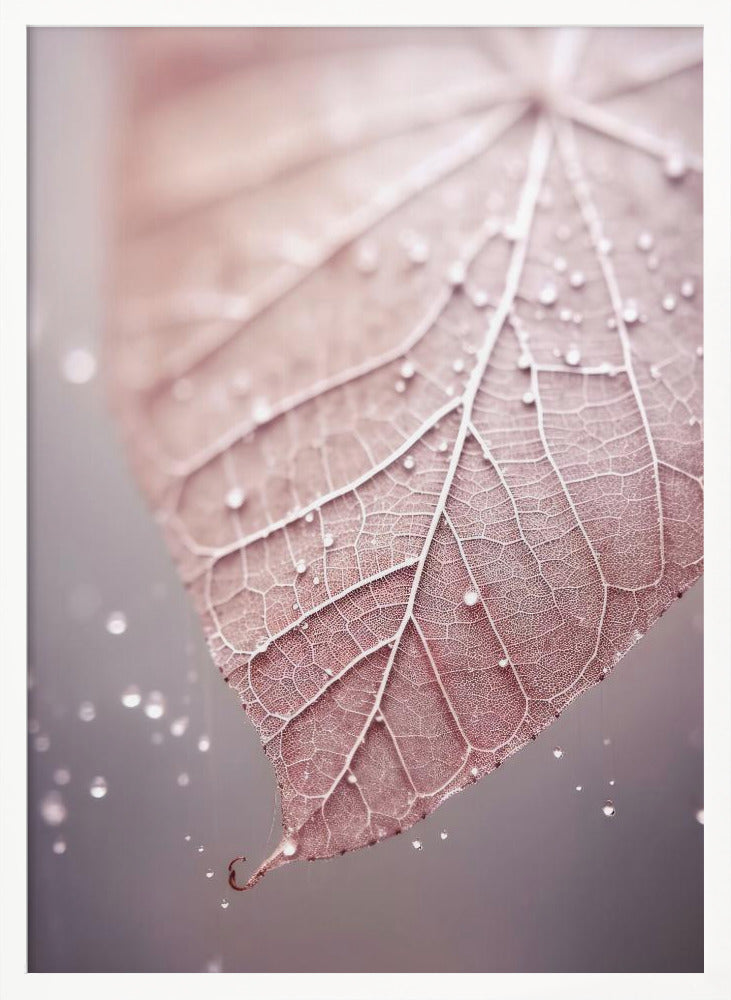 Rosy Leaf Poster