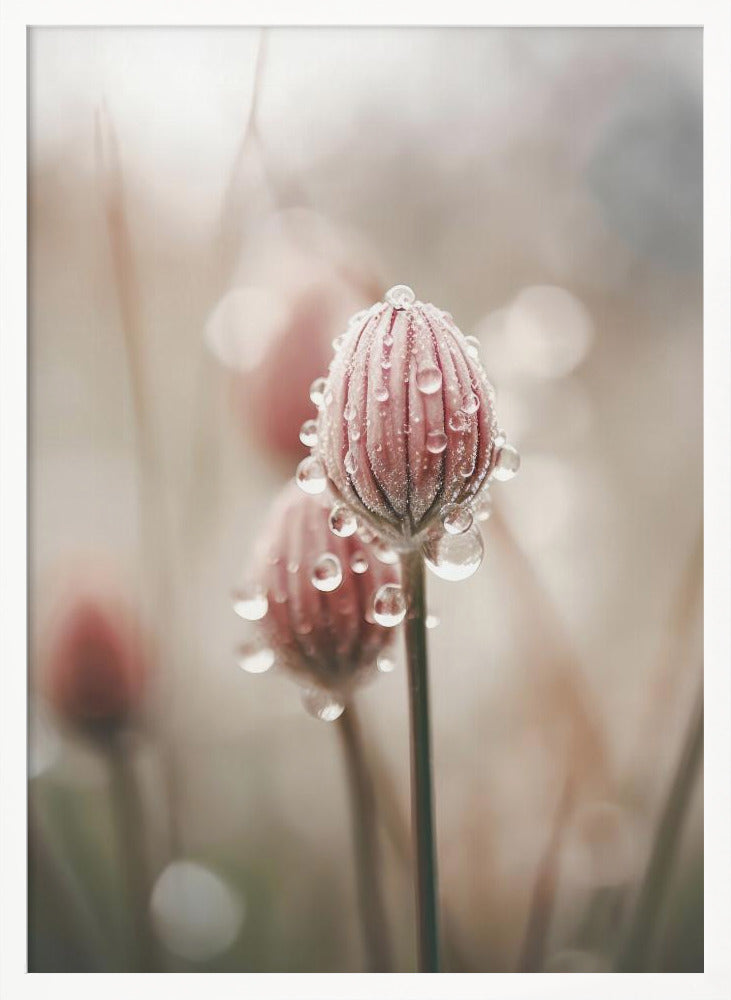 Pastel Nature Macro No 5 Poster