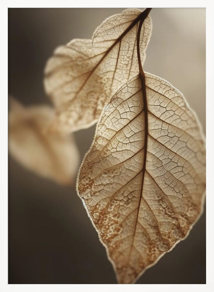 Leaf Macro Poster