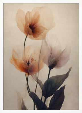 Parchment Flowers No 2 Poster