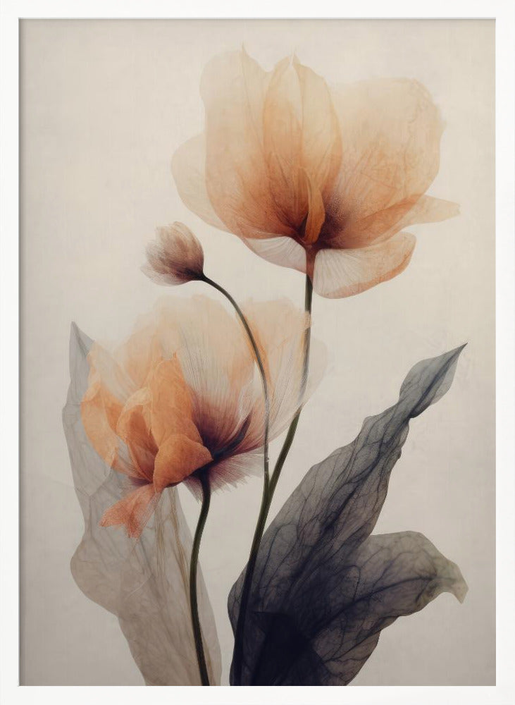 Parchment Flowers No 6 Poster