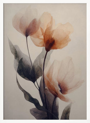 Parchment Flowers No 8 Poster