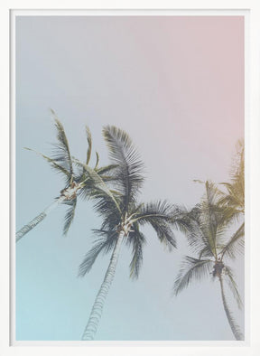 Pastel Palms Poster