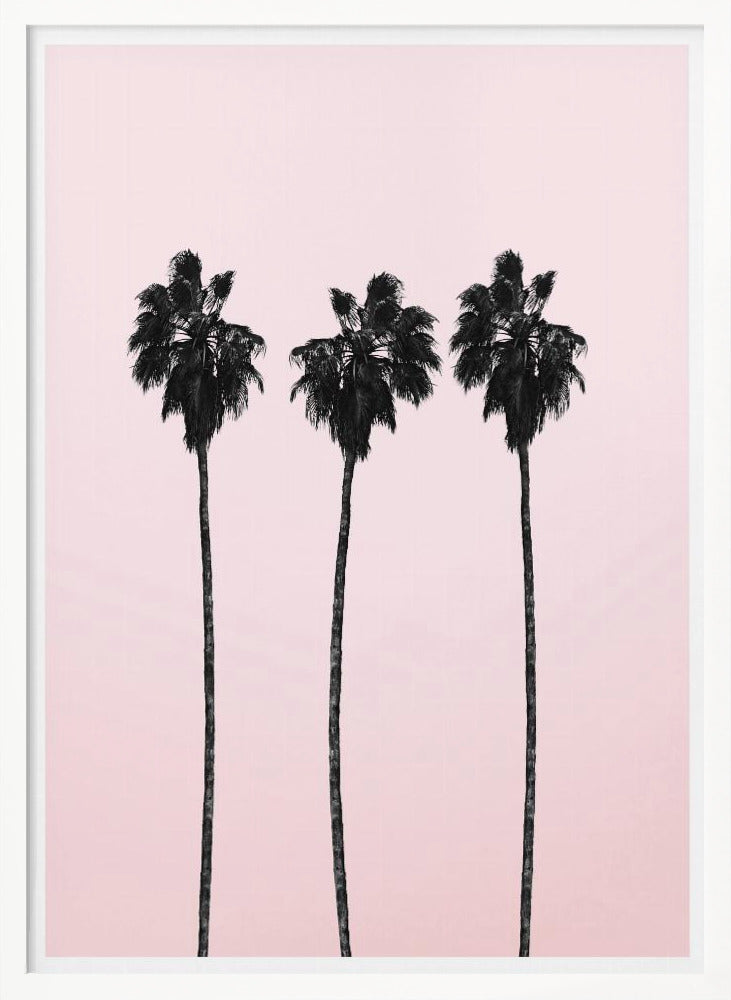 Pinky Palms Poster