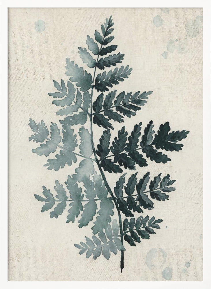 Teal watercolor fern 2 Poster