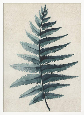 Teal watercolor fern 5 Poster