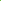 Beetroot Swirl Green Poster