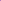 Beetroot Swirl Purple Poster
