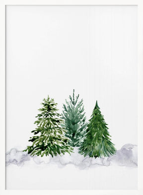 Three watercolor pine trees Poster