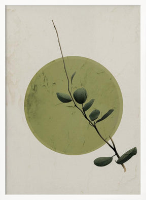 Green Twig Nov2 Poster