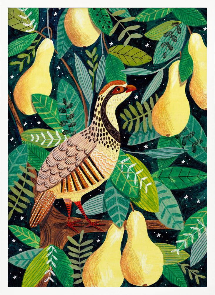 Partridge in a pear tree Poster