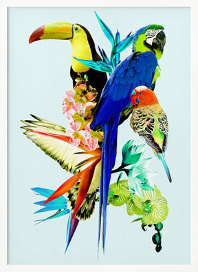 Birds of Paradise II Poster