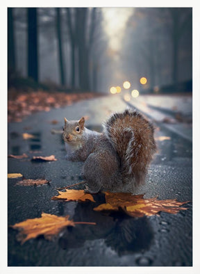 AutumnSquirrel Poster