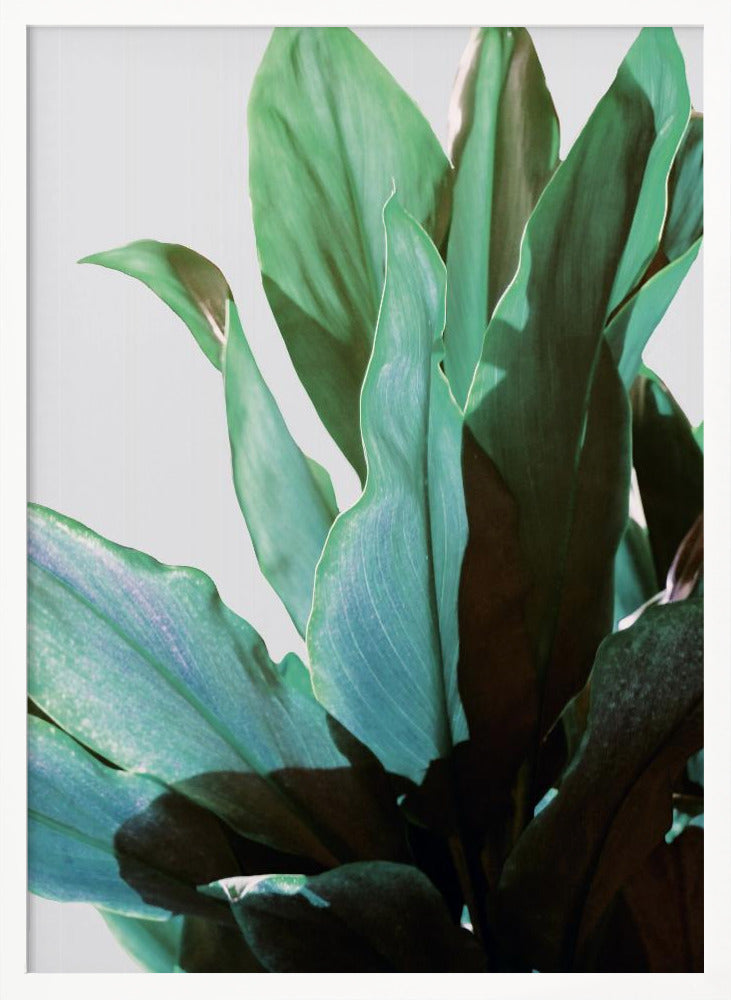 Green Leaves Poster