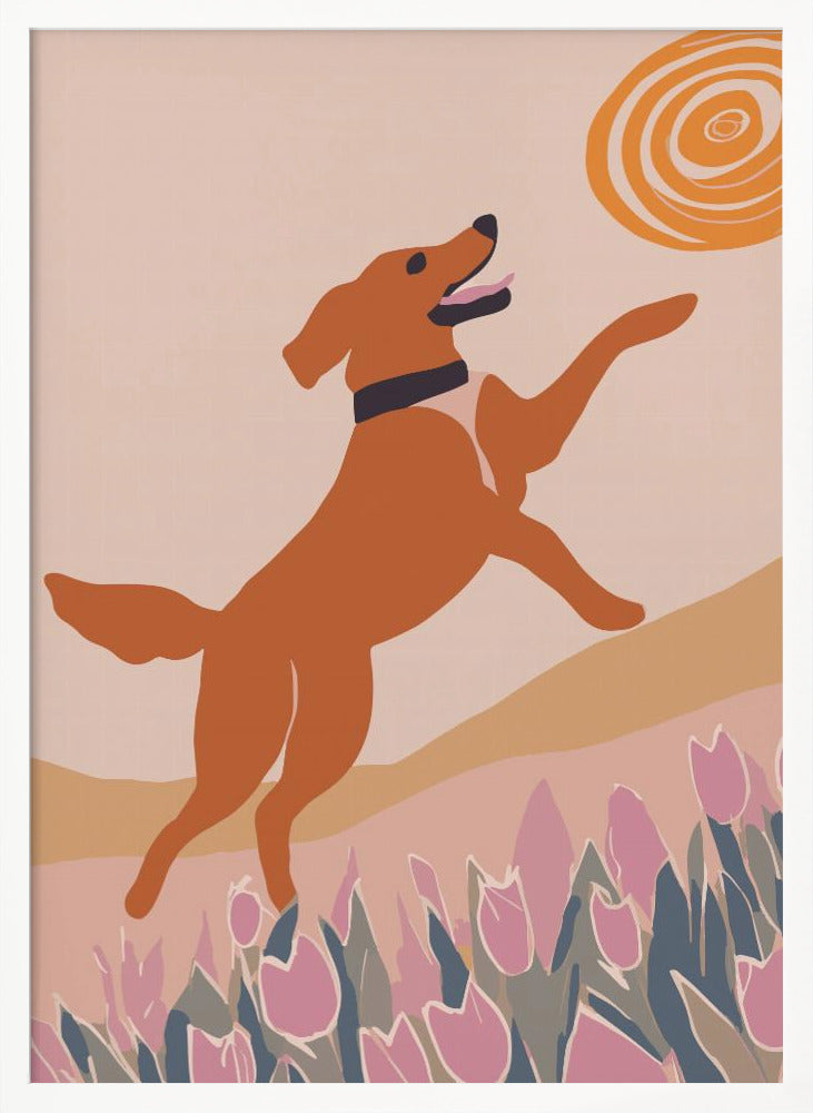 Frisbee Dog Poster