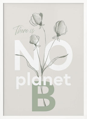 There is no planet B Poster