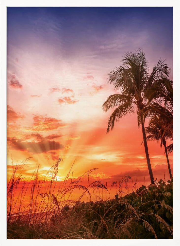 BONITA BEACH Picturesque Sunset Poster