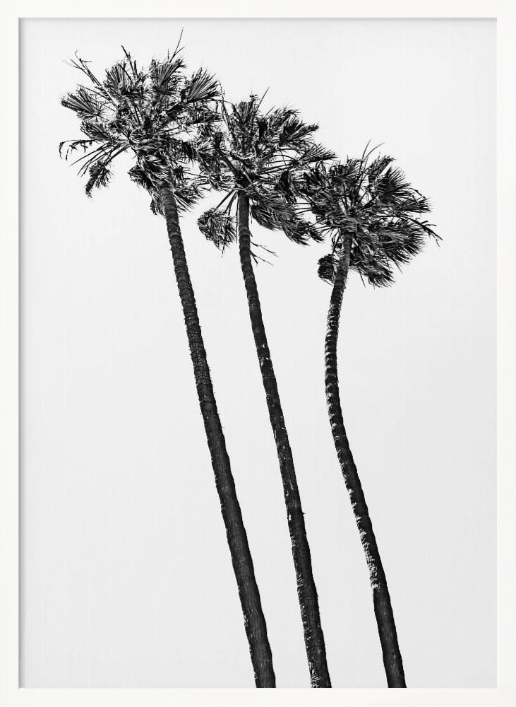 Summer idyll with palm trees Poster