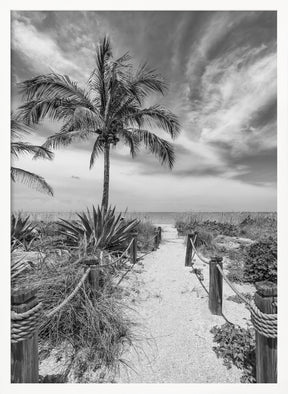 Path to the beach - monochrome Poster