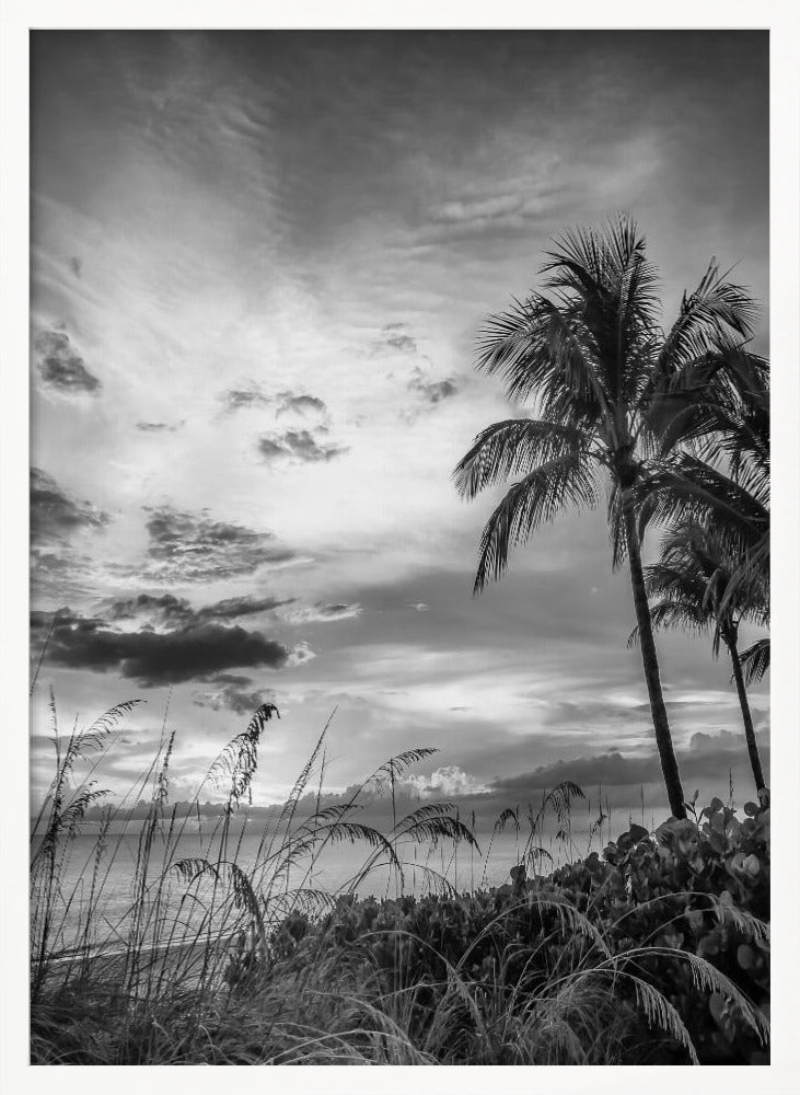 BONITA BEACH Evening mood | monochrome Poster