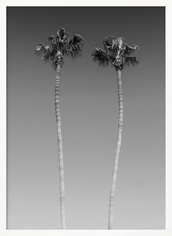 Idyllic Palm trees | Monochrome Poster