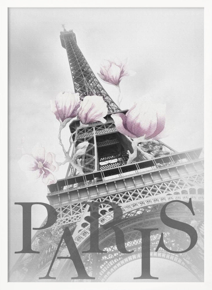 PARIS Magnolia Eiffel Tower Poster