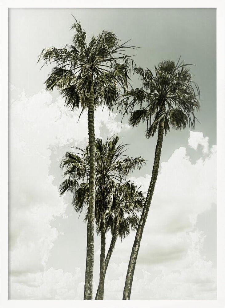 Palm Trees and sky | Vintage Poster