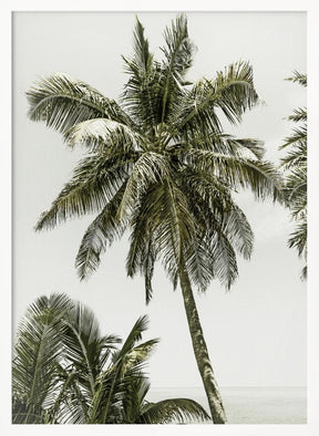 Palm Trees by the ocean | Vintage Poster