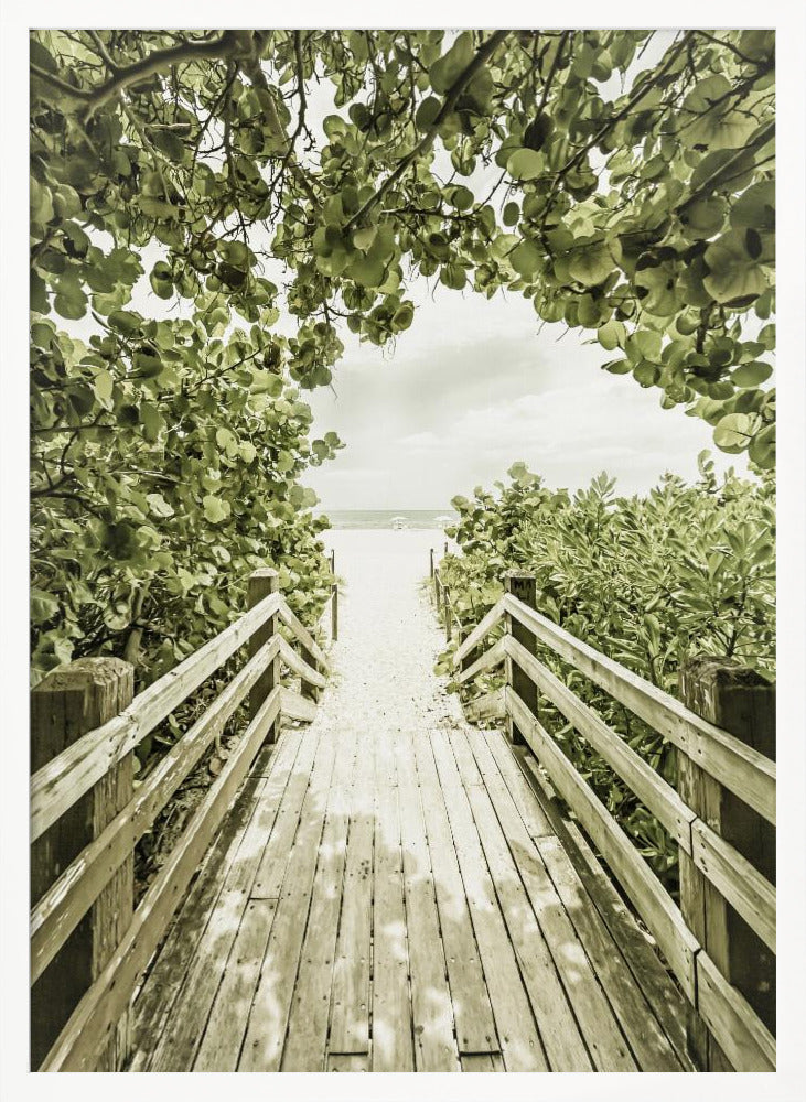 Bridge to Miami Beach Poster