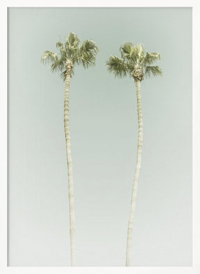 Minimalist Palm Trees Poster